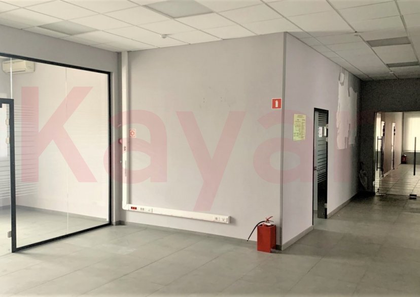 Аренда коммерции, 343 кв.м (Офисное) фото 7