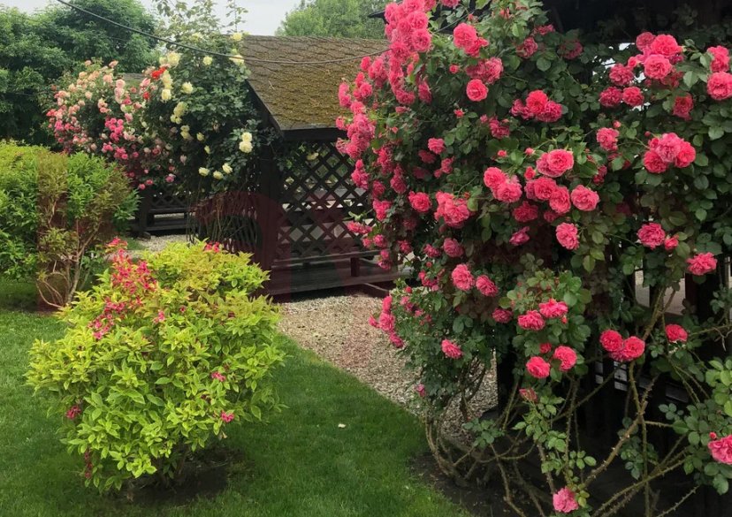 Продажа коммерции, 618 кв.м (Ресторан) фото 1