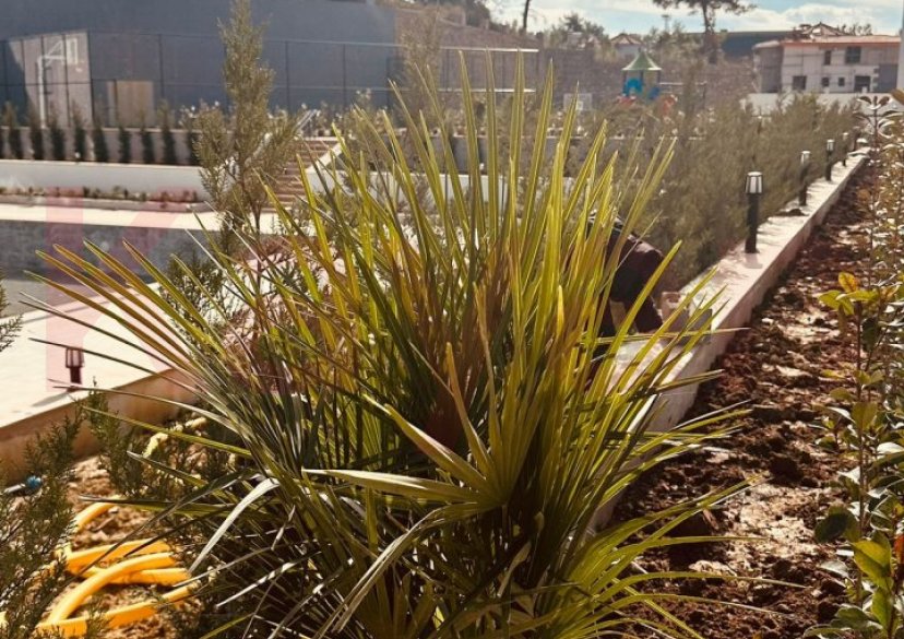 Продажа 2-комн. квартиры, 46 кв.м фото 3