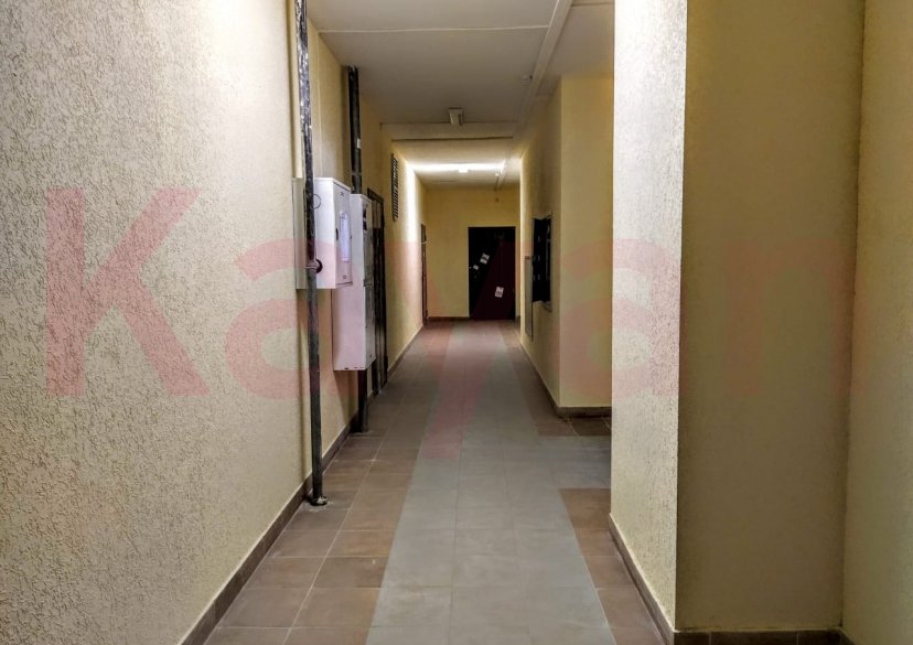 Продажа 1-комн. квартиры, 50.39 кв.м фото 0