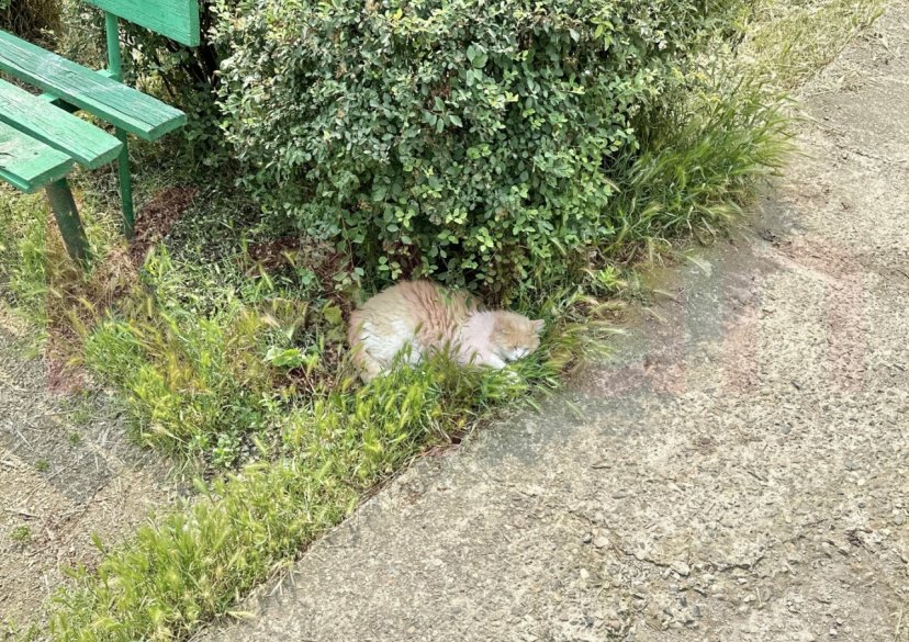 Продажа 1-комн. квартиры, 24.5 кв.м фото 12