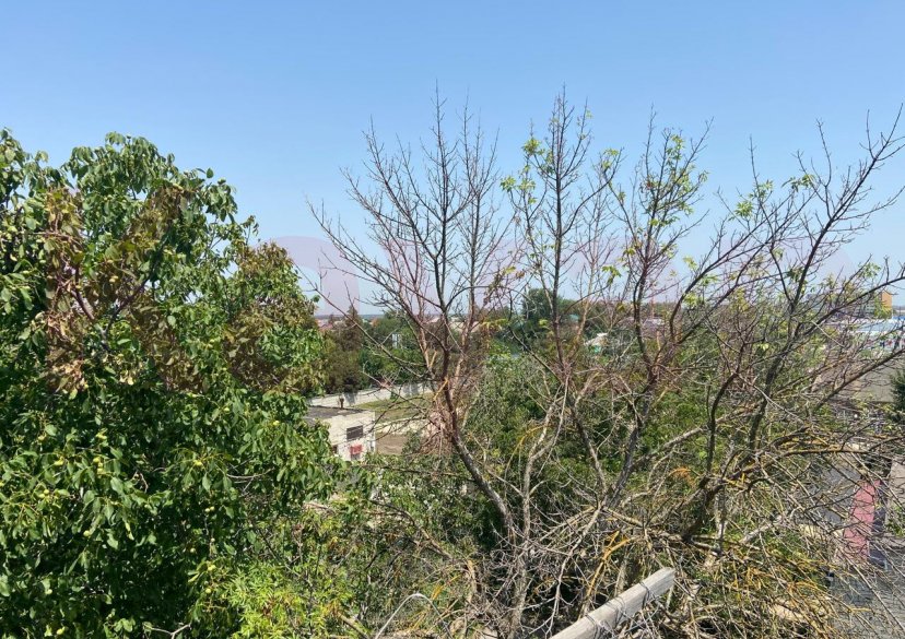 Продажа 1-комн. квартиры, 30.3 кв.м фото 28