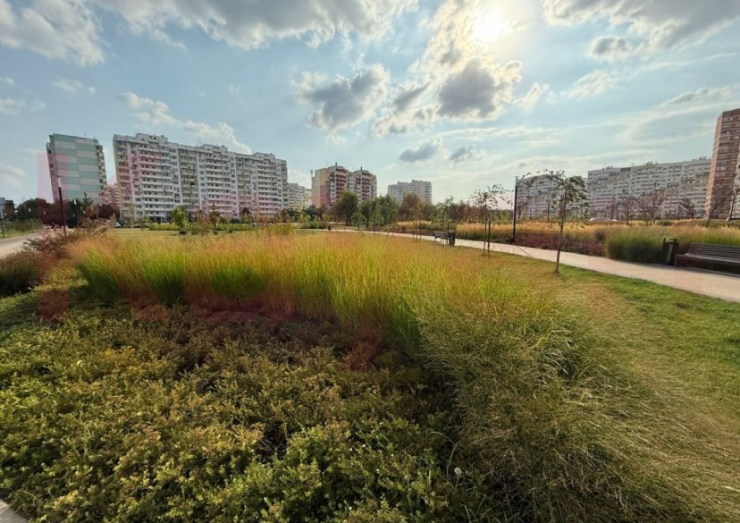 Продажа студии, 23 кв.м фото 12