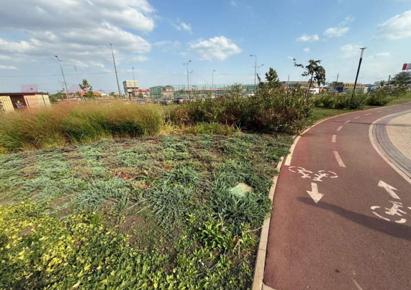 Продажа студии, 23 кв.м фото 13