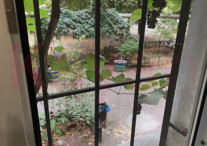 Продажа 3-комн. квартиры, 56 кв.м фото 20