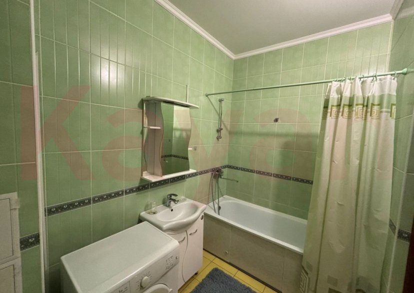 Аренда 1-комн. квартиры, 55 кв.м фото 18