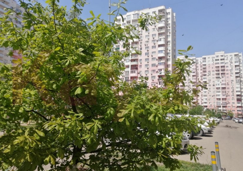 Продажа 3-комн. квартиры, 100 кв.м фото 0