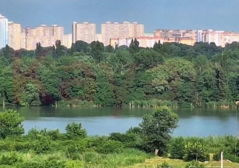 Продажа 1-комн. квартиры, 29 кв.м фото 8