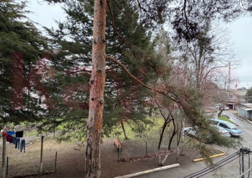 Продажа 2-комн. квартиры, 44 кв.м фото 17