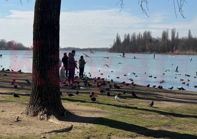 Продажа 2-комн. квартиры, 83 кв.м фото 45