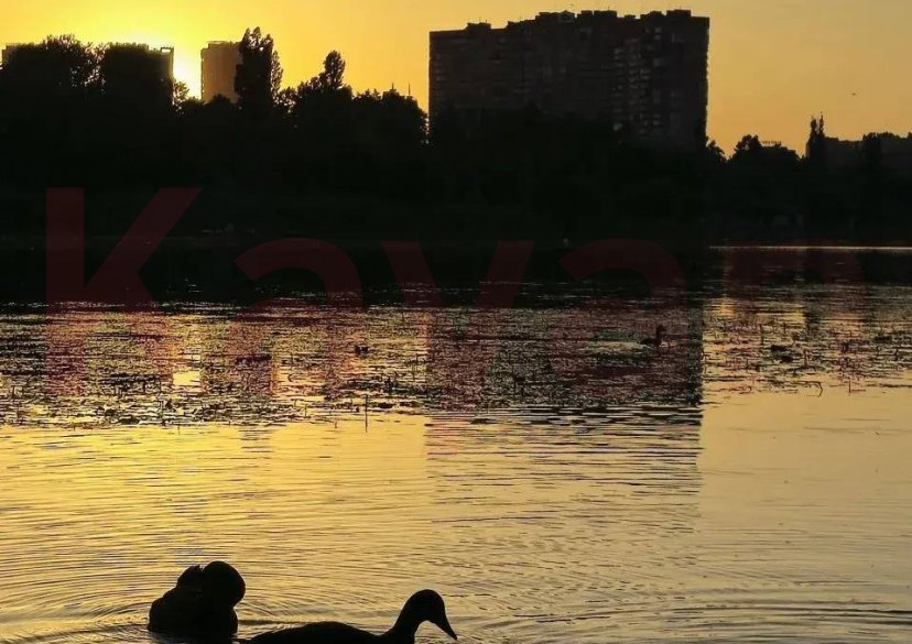 Продажа 2-комн. квартиры, 83 кв.м фото 47