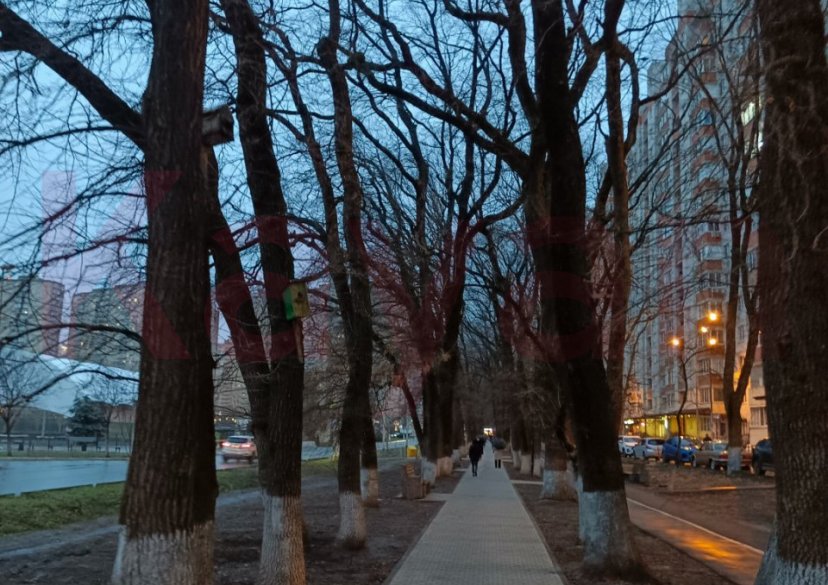 Аренда 1-комн. квартиры, 33 кв.м фото 21