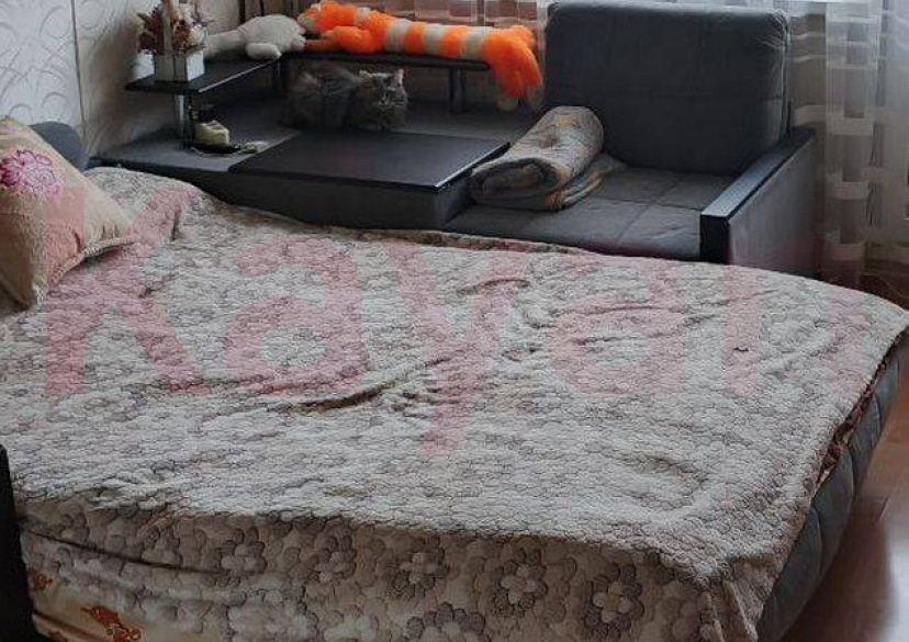 Продажа 2-комн. квартиры, 46 кв.м фото 3 Продажа 2-комн. квартиры, 46 кв.м фото 3