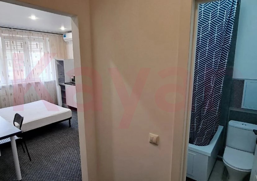 Аренда студии, 22 кв.м фото 4