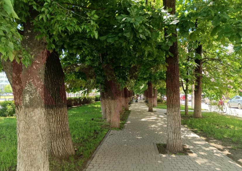 Аренда 1-комн. квартиры, 40 кв.м фото 16