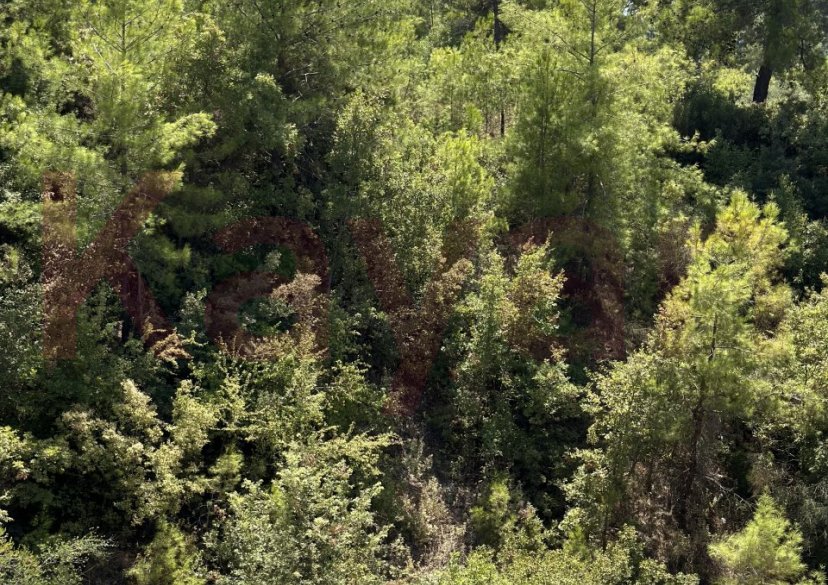 Продажа 2-комн. квартиры, 44 кв.м фото 30