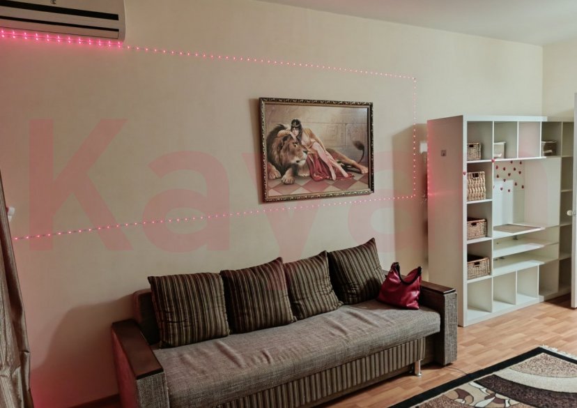 Аренда студии, 30 кв.м фото 3