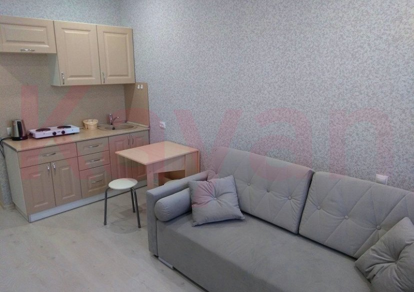 Аренда студии, 21 кв.м фото 4