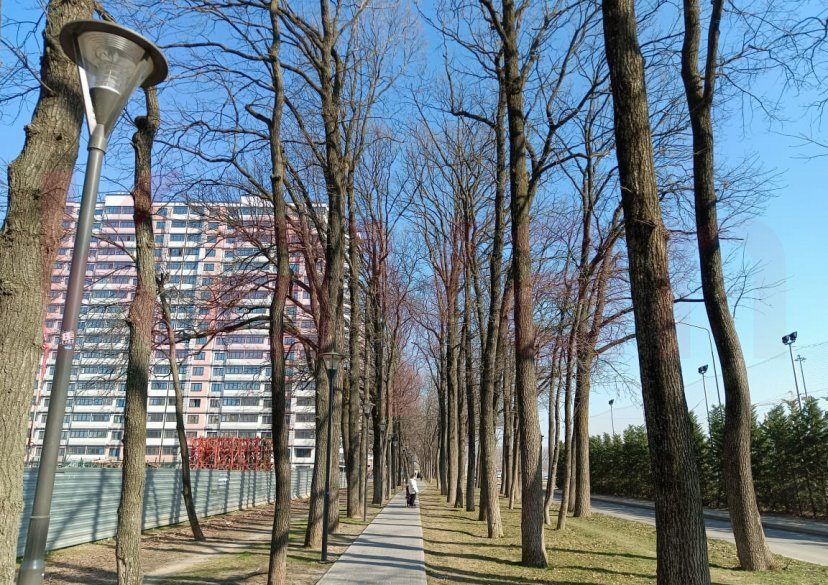 Аренда студии, 27 кв.м фото 17 Аренда студии, 27 кв.м фото 17