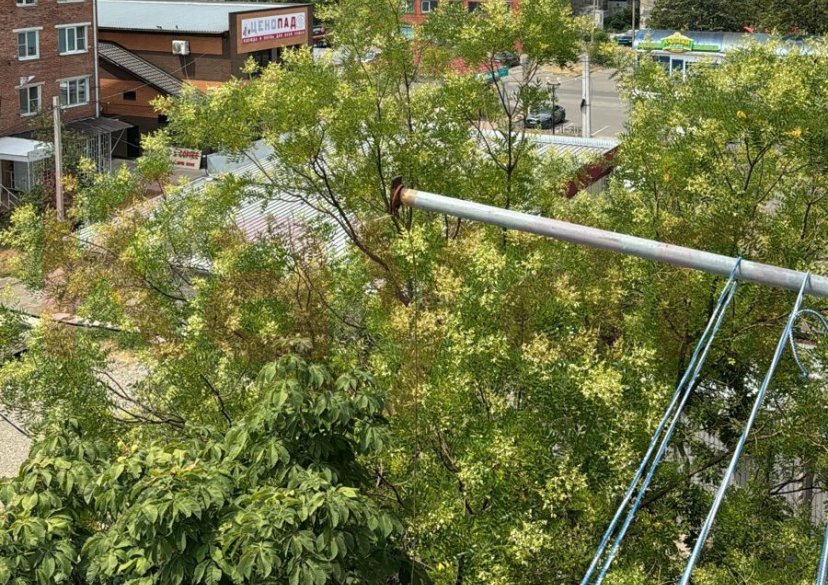 Продажа 3-комн. квартиры, 63 кв.м фото 8 Продажа 3-комн. квартиры, 63 кв.м фото 8