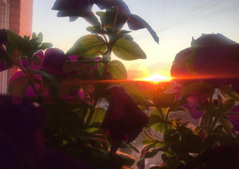 Продажа 3-комн. квартиры, 107 кв.м фото 31 Продажа 3-комн. квартиры, 107 кв.м фото 31