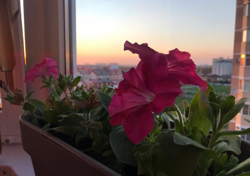 Продажа 3-комн. квартиры, 107 кв.м фото 28