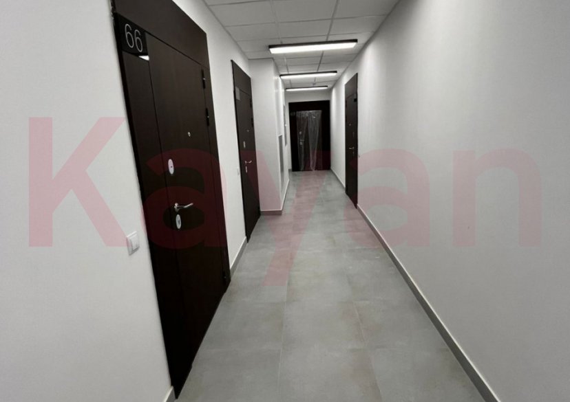 Продажа студии, 21 кв.м фото 2