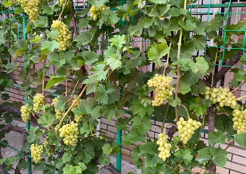 Продажа дома, 314 кв.м фото 43