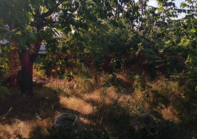 Продажа дачи, 18 кв.м фото 10 Продажа дачи, 18 кв.м фото 10