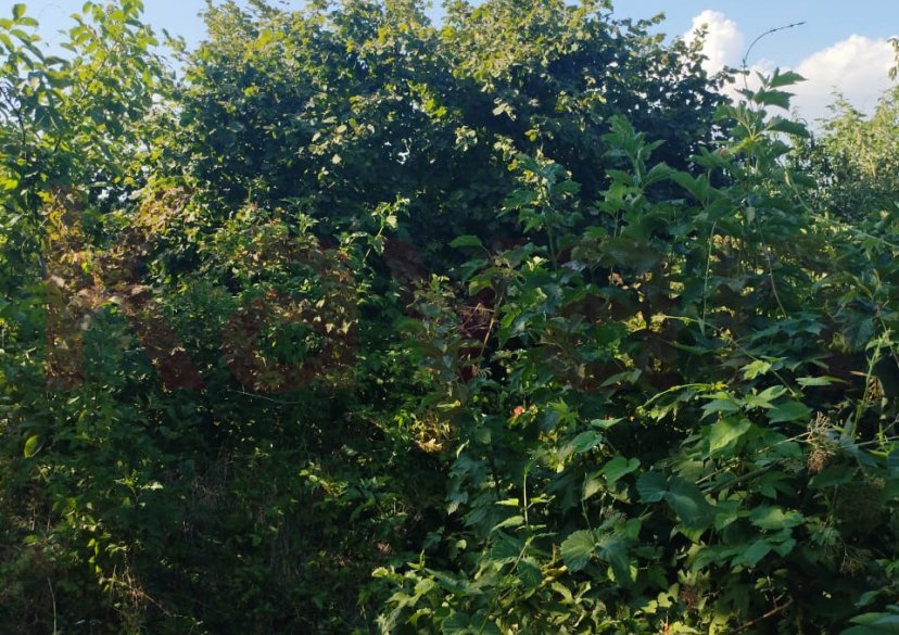 Продажа дачи, 18 кв.м фото 8