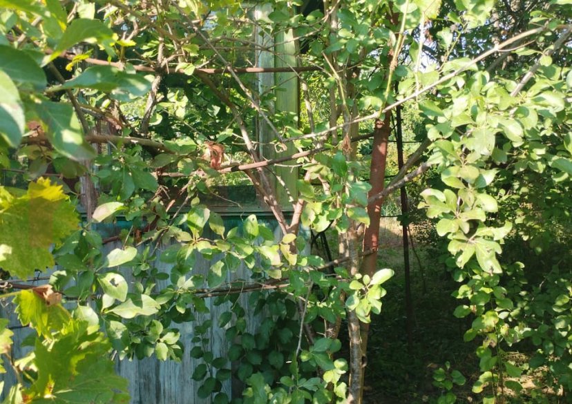 Продажа дачи, 18 кв.м фото 6 Продажа дачи, 18 кв.м фото 6