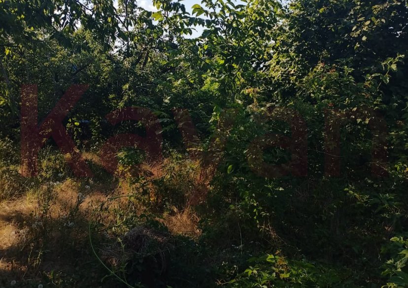 Продажа дачи, 18 кв.м фото 9