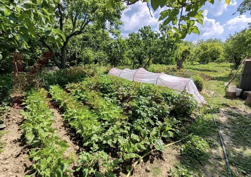 Продажа дома, 300 кв.м фото 31 Продажа дома, 300 кв.м фото 31