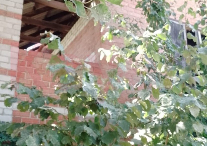 Продажа дома, 70 кв.м фото 3