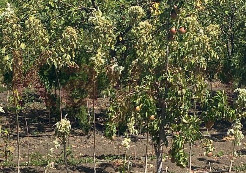 Продажа дома, 76 кв.м фото 38