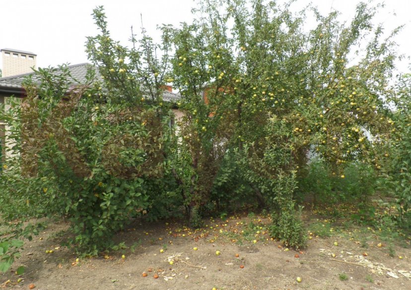 Продажа дома, 102 кв.м фото 15 Продажа дома, 102 кв.м фото 15