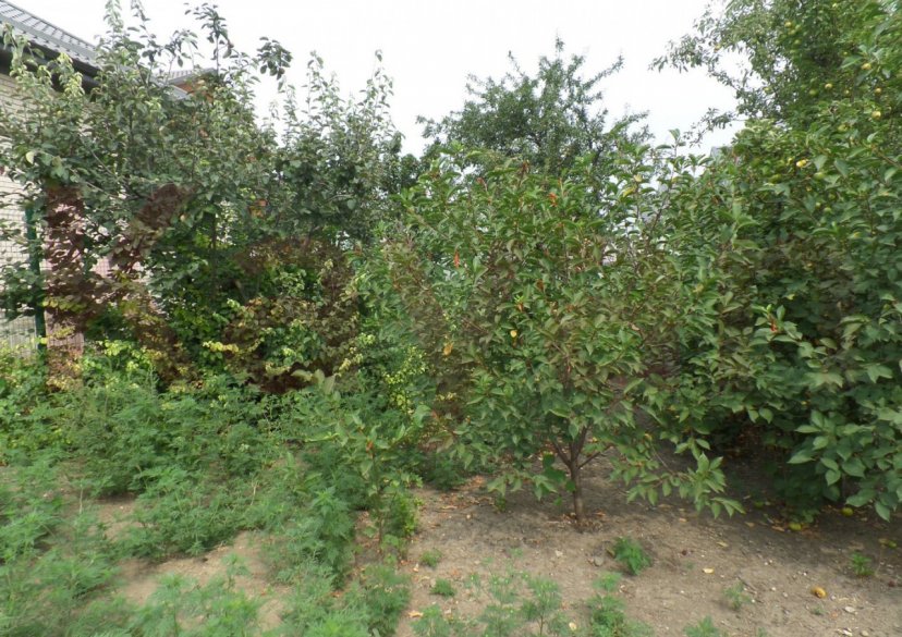 Продажа дома, 102 кв.м фото 16 Продажа дома, 102 кв.м фото 16