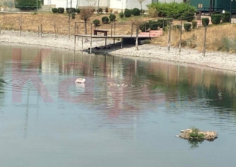 Продажа дома, 40 кв.м фото 38