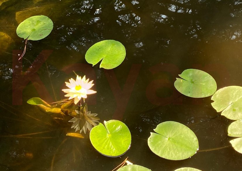 Продажа дома, 40 кв.м фото 41 Продажа дома, 40 кв.м фото 41