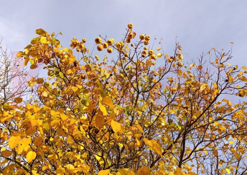 Продажа дачи, 133 кв.м фото 5