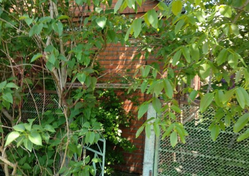 Продажа дачи, 35 кв.м фото 1