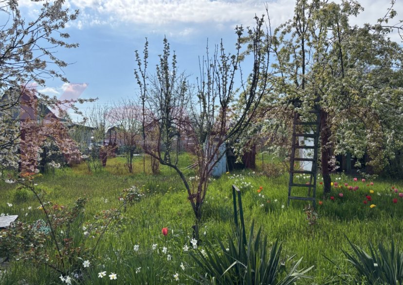 Продажа дома, 30 кв.м фото 5 Продажа дома, 30 кв.м фото 5