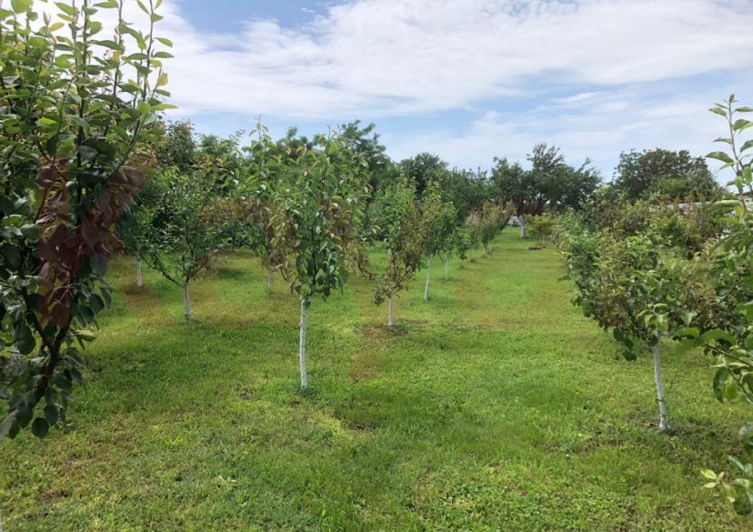 Продажа дома, 65 кв.м фото 8 Продажа дома, 65 кв.м фото 8