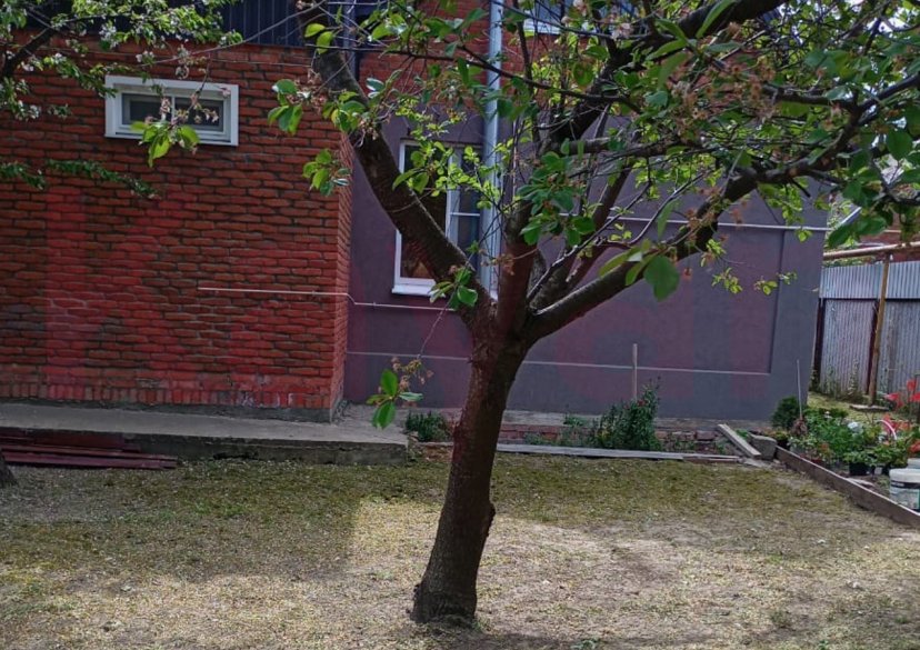 Продажа дачи, 52 кв.м фото 3 Продажа дачи, 52 кв.м фото 3