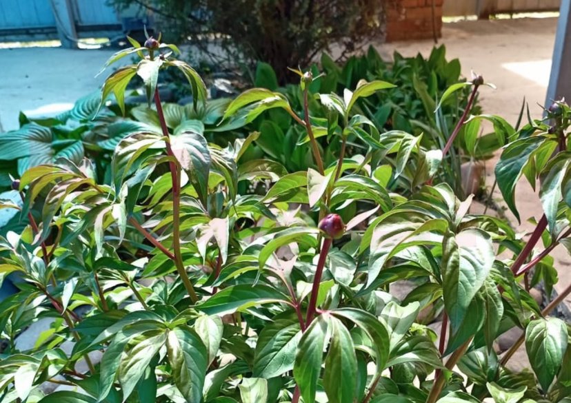 Продажа дачи, 52 кв.м фото 7