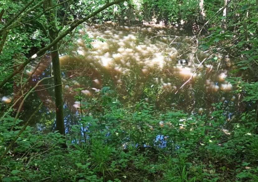 Продажа дома, 65 кв.м фото 6