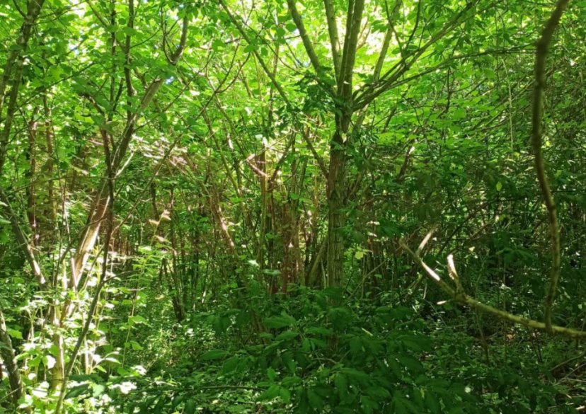 Продажа дома, 65 кв.м фото 4