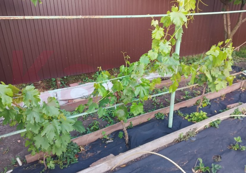 Продажа дома, 90 кв.м фото 5