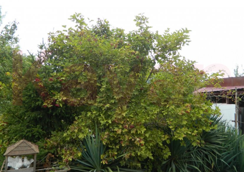 Продажа дома, 64 кв.м фото 33 Продажа дома, 64 кв.м фото 33