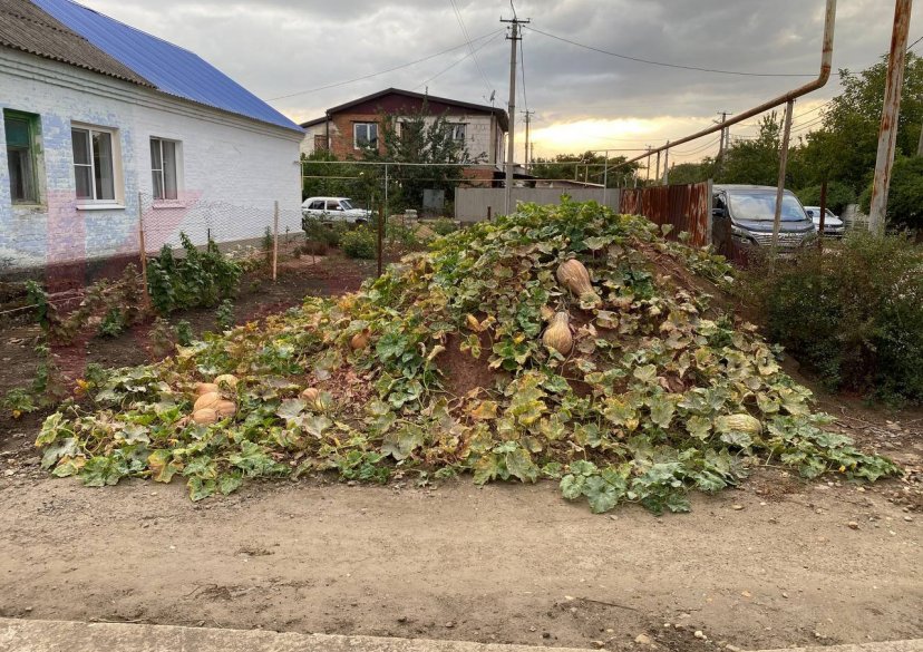 Продажа дома, 66 кв.м фото 2 Продажа дома, 66 кв.м фото 2